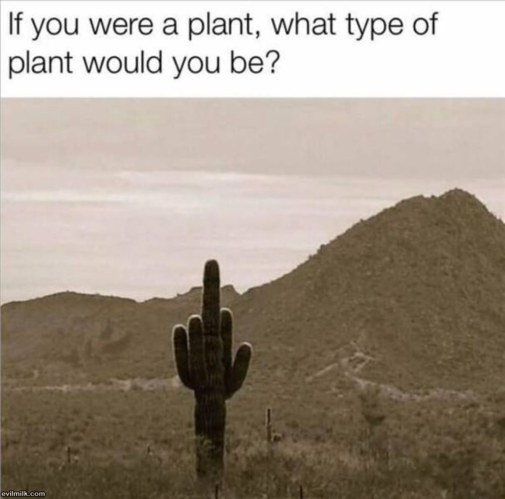 If You Were A Plant