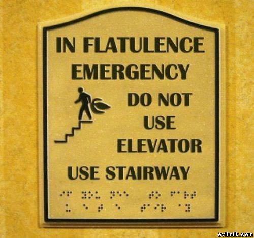 In Flatulence Emergency