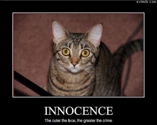 Innocence