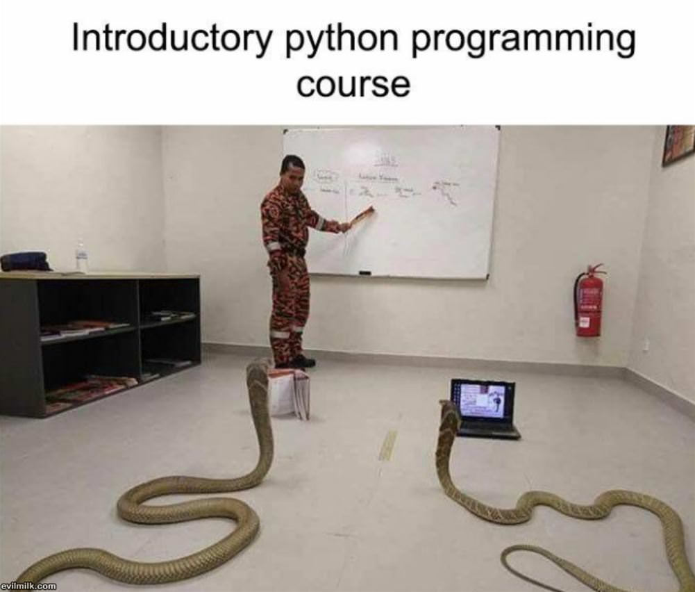 Intro Course