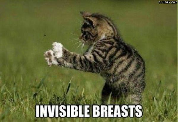 Invisible Breasts