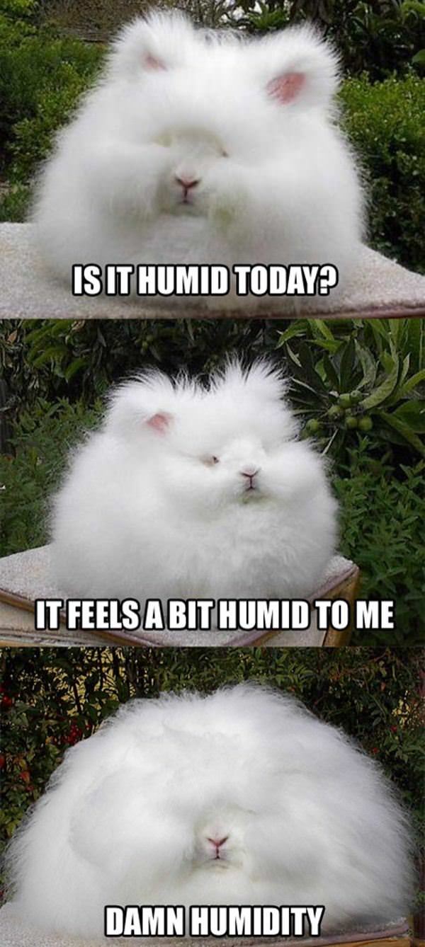 Is It Humid