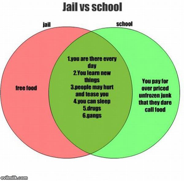 Jail Vs School