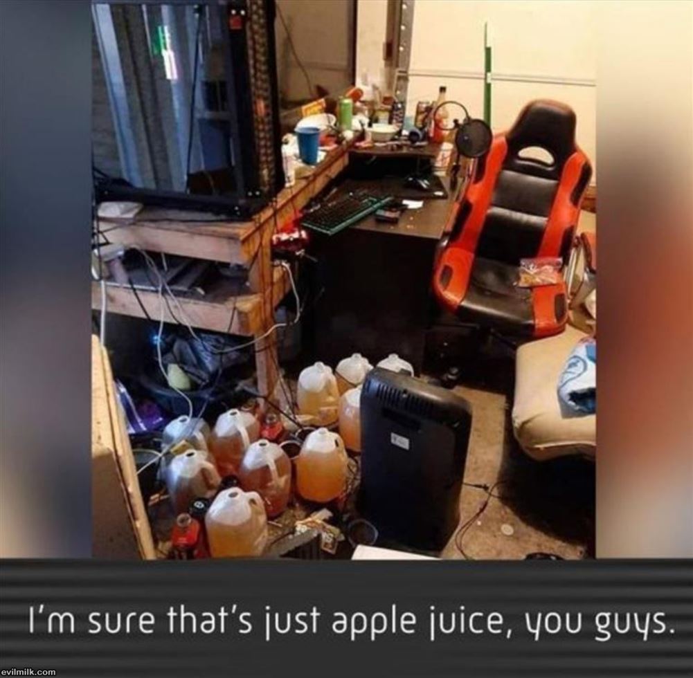 Just Apple Juice