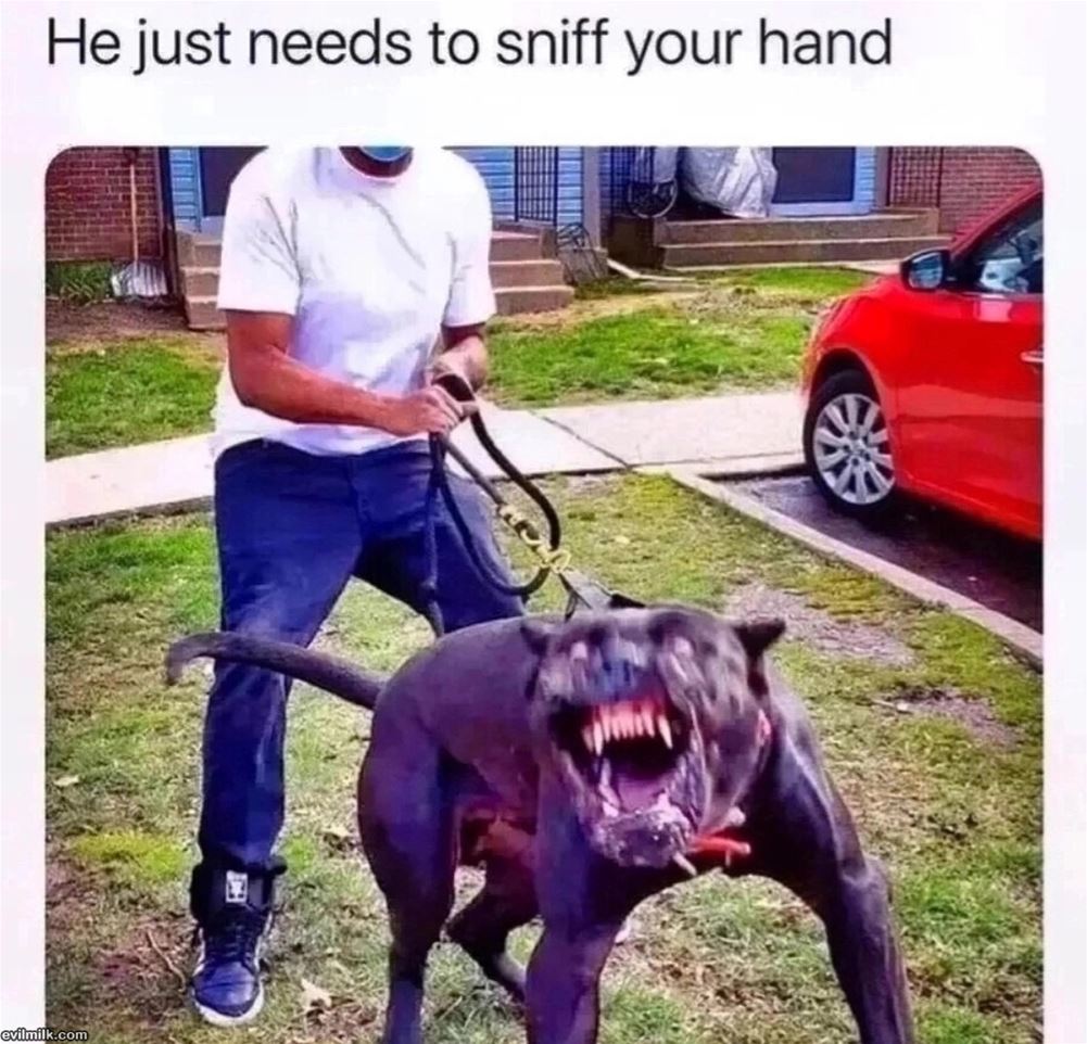 Just Wants To Sniff Your Hand