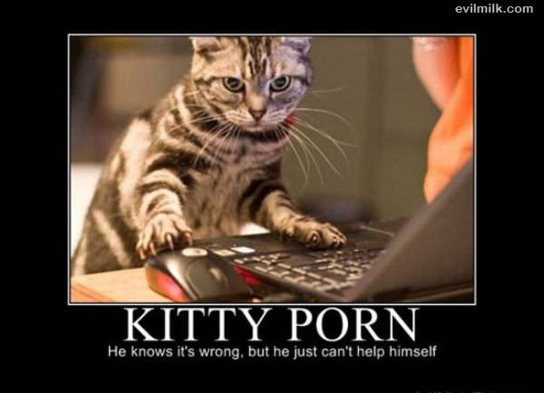 Kitty Porn