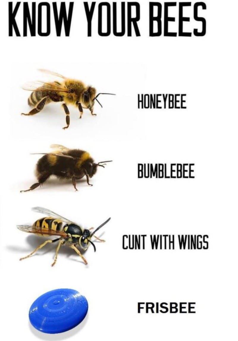 Know Yoru Bees