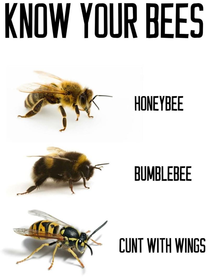 Know Your Bees