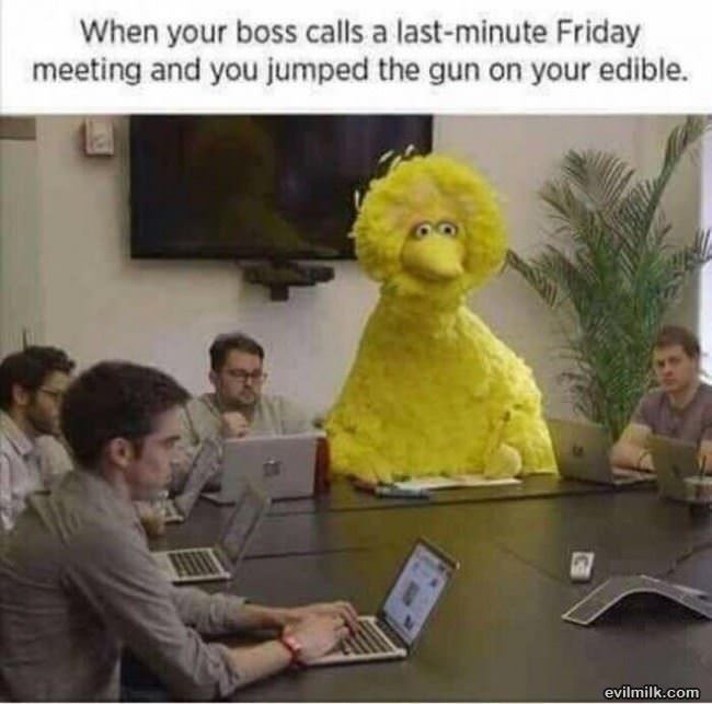 Last Minute Meeting