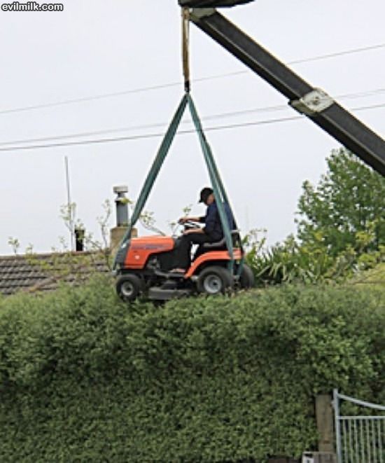 Lawnmower Hedge