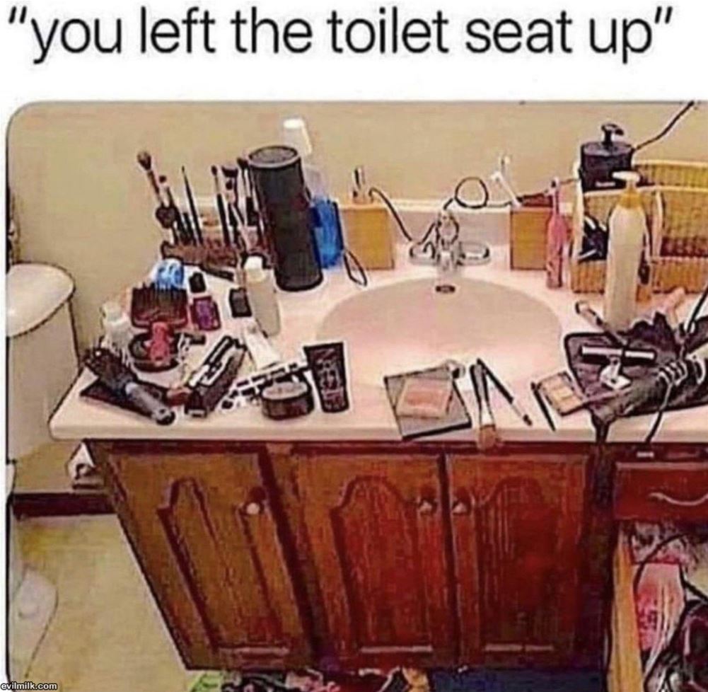 Left The Seat Up