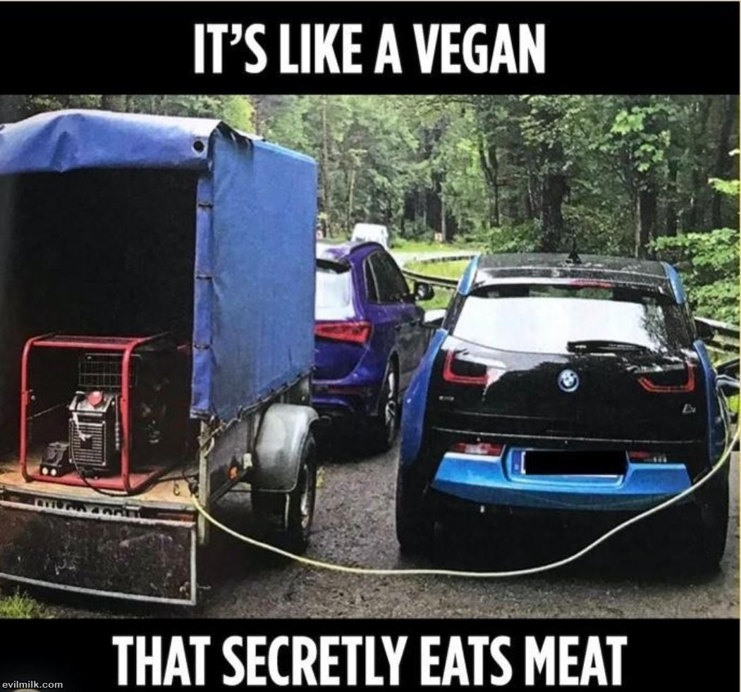 Like A Vegan