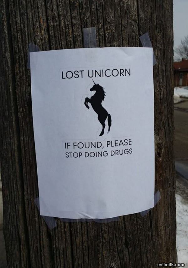 Lost Unicorn