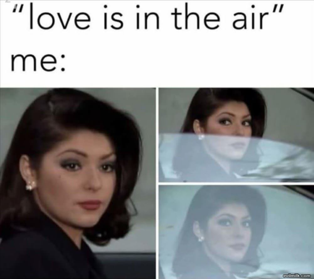 Love Is In The Air