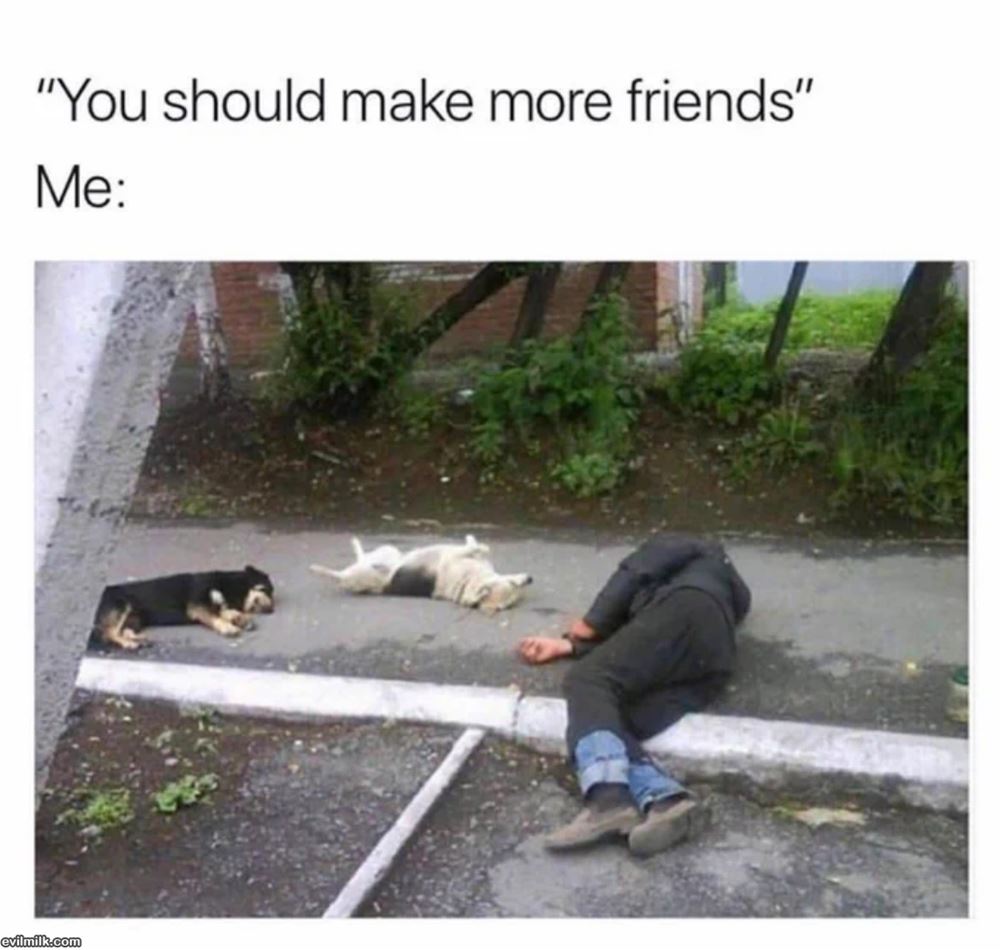 Make More Friends