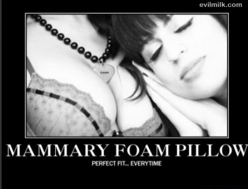 Mammary Foam Pillow