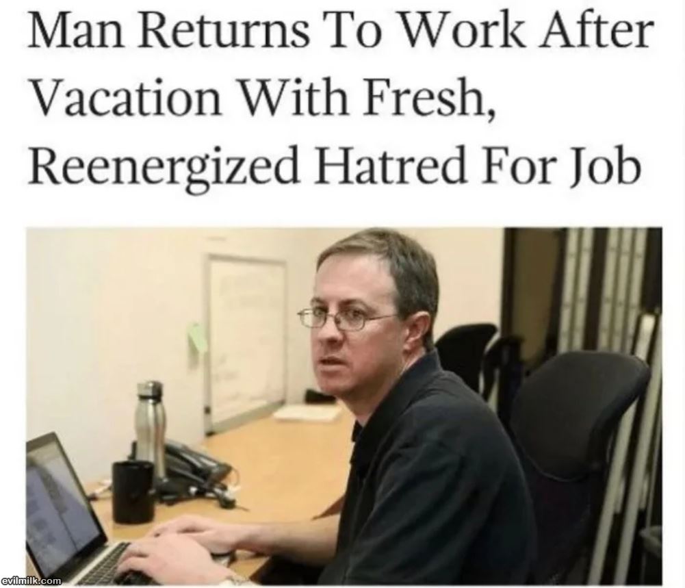 Man Returns Fresh