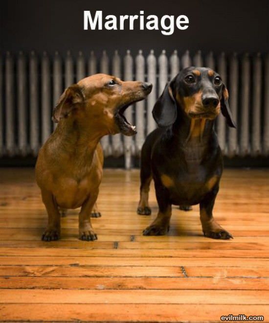 Marriage