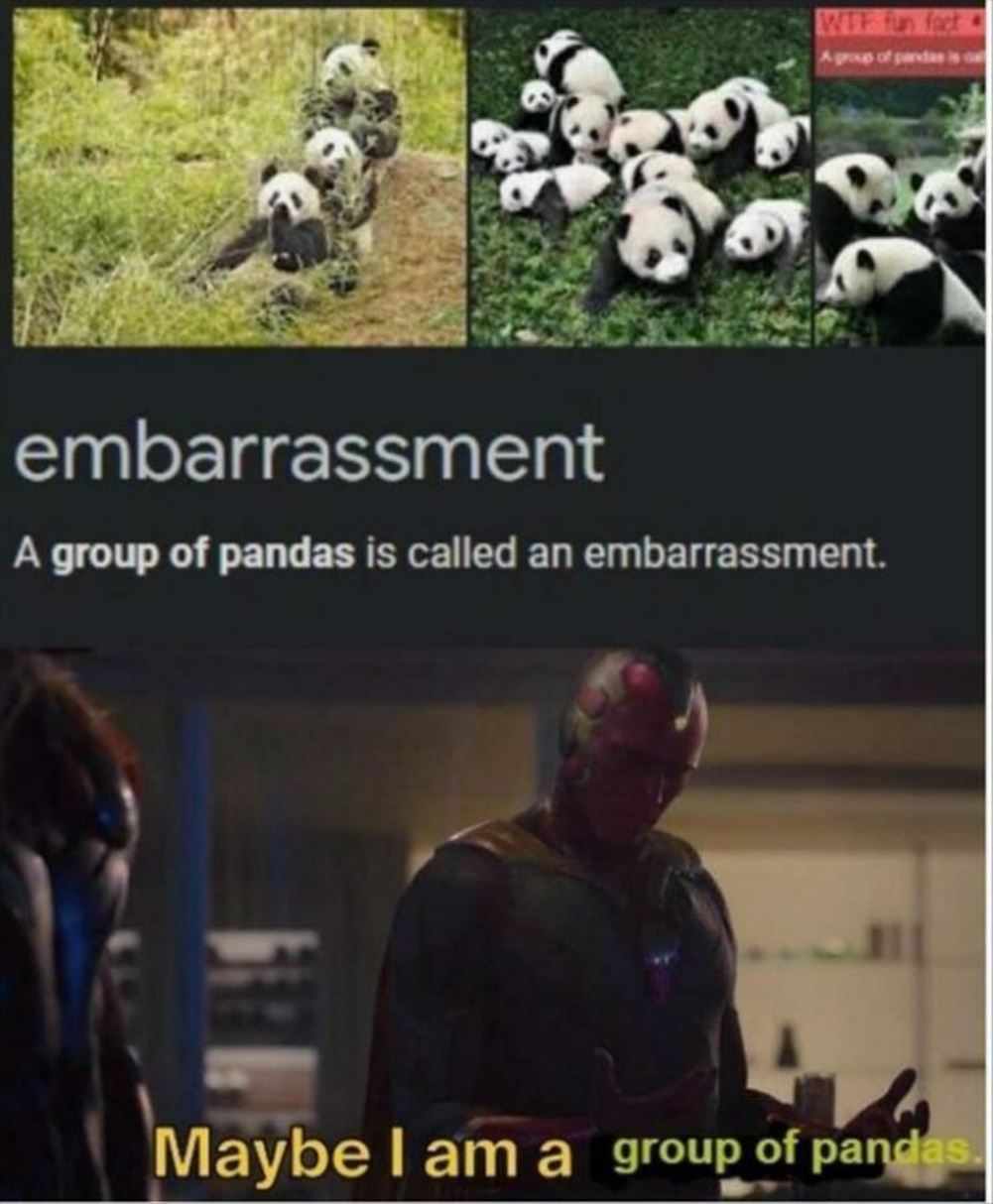 Maybe I Am A Panda