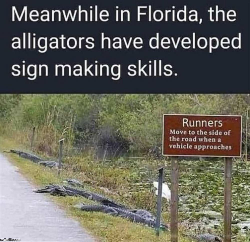 Meanwhile In Florida