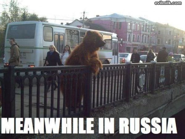 Meanwhile In Russia