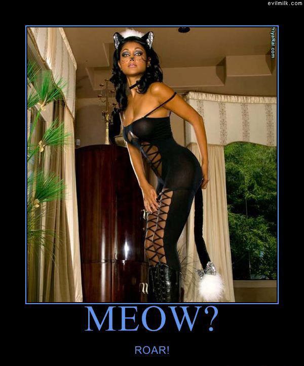 Meow