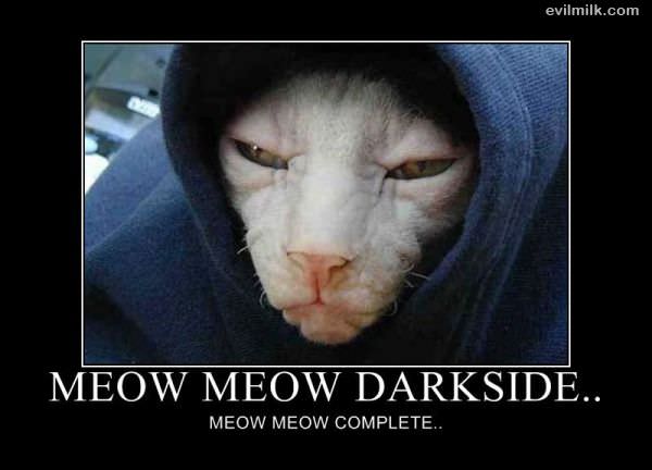 Meow Meow Darkside