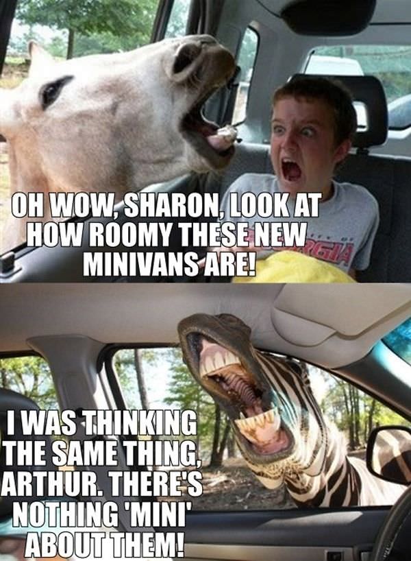 Minivans