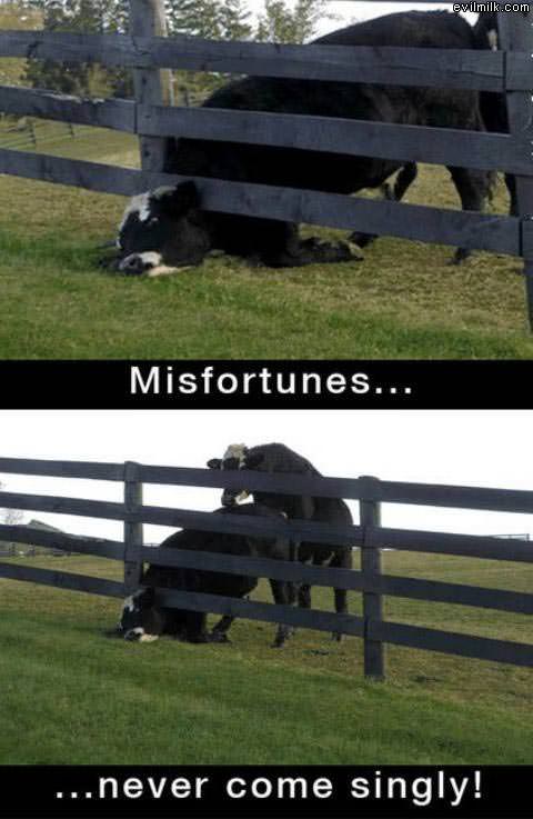 Misfortunes