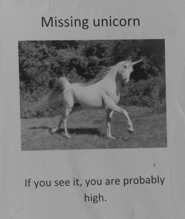 Missing Unicorn