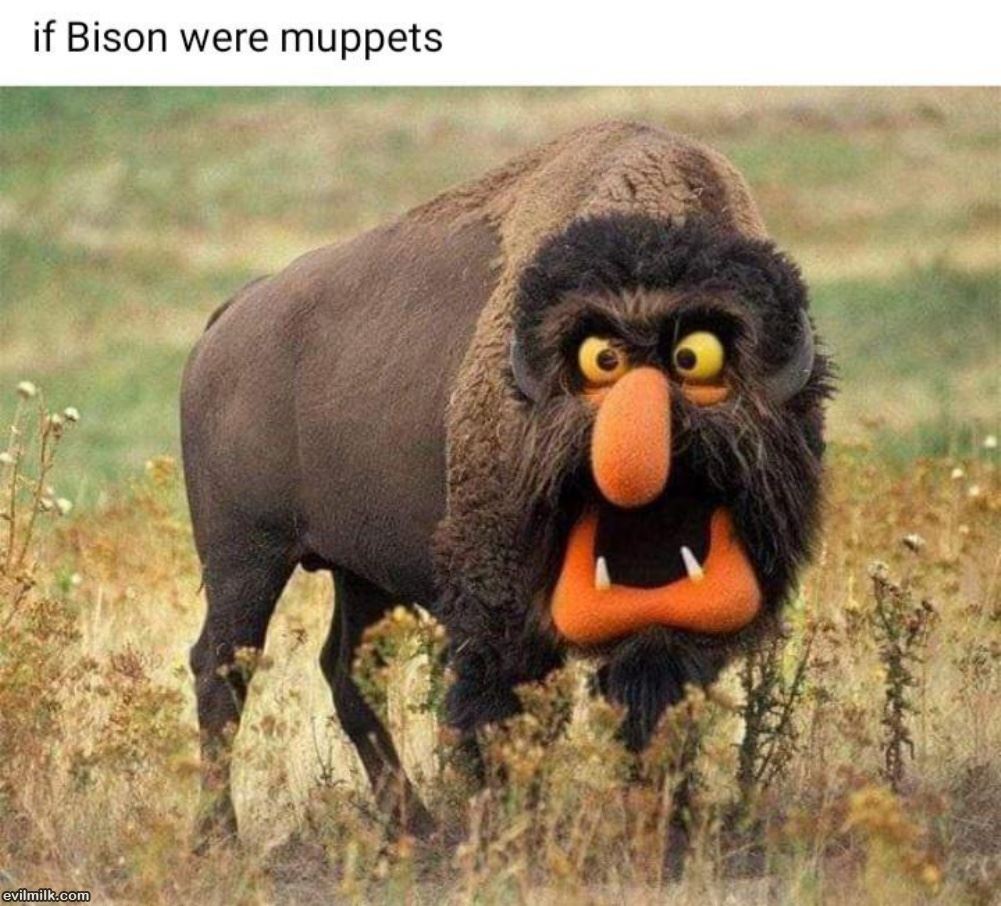 Muppet Bison