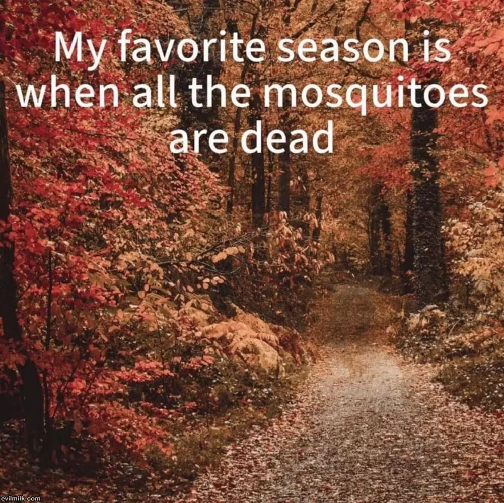 My Favorite Season