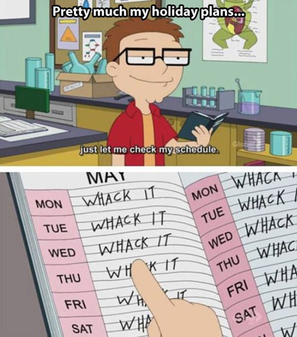 My Holiday Plans