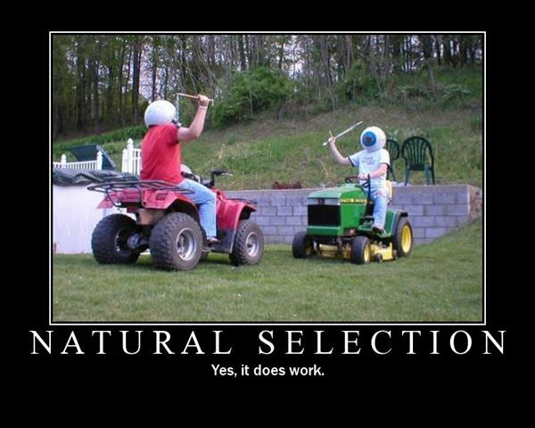 Natural Selection