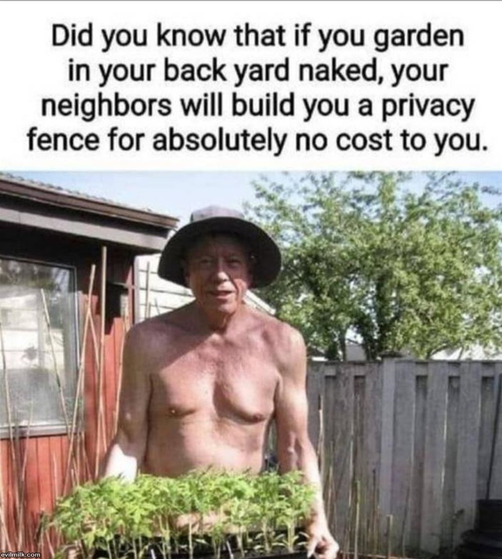 Need A New Fence