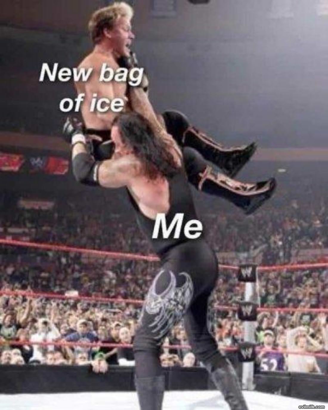 New Bag Of Ice