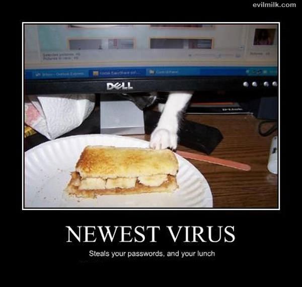 Newest Virus