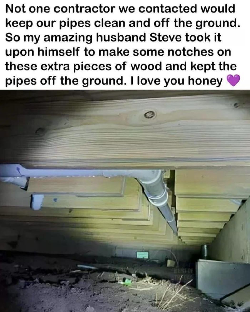 Nice Job Honey