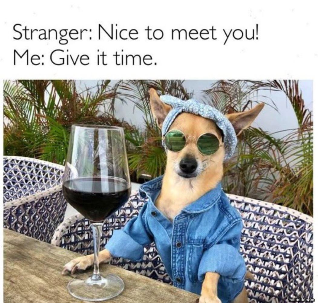 Nice To Meet You