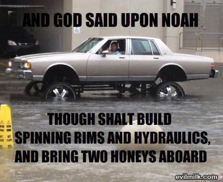 Noah