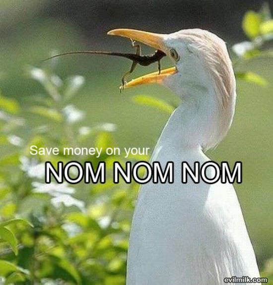 Nom Nom Nom Nooooooo