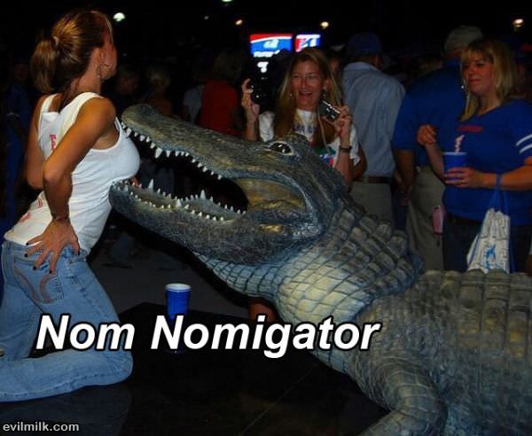 Nomigator