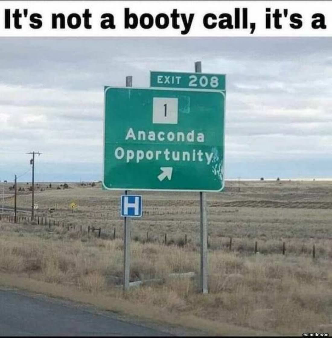 Not A Booty Call