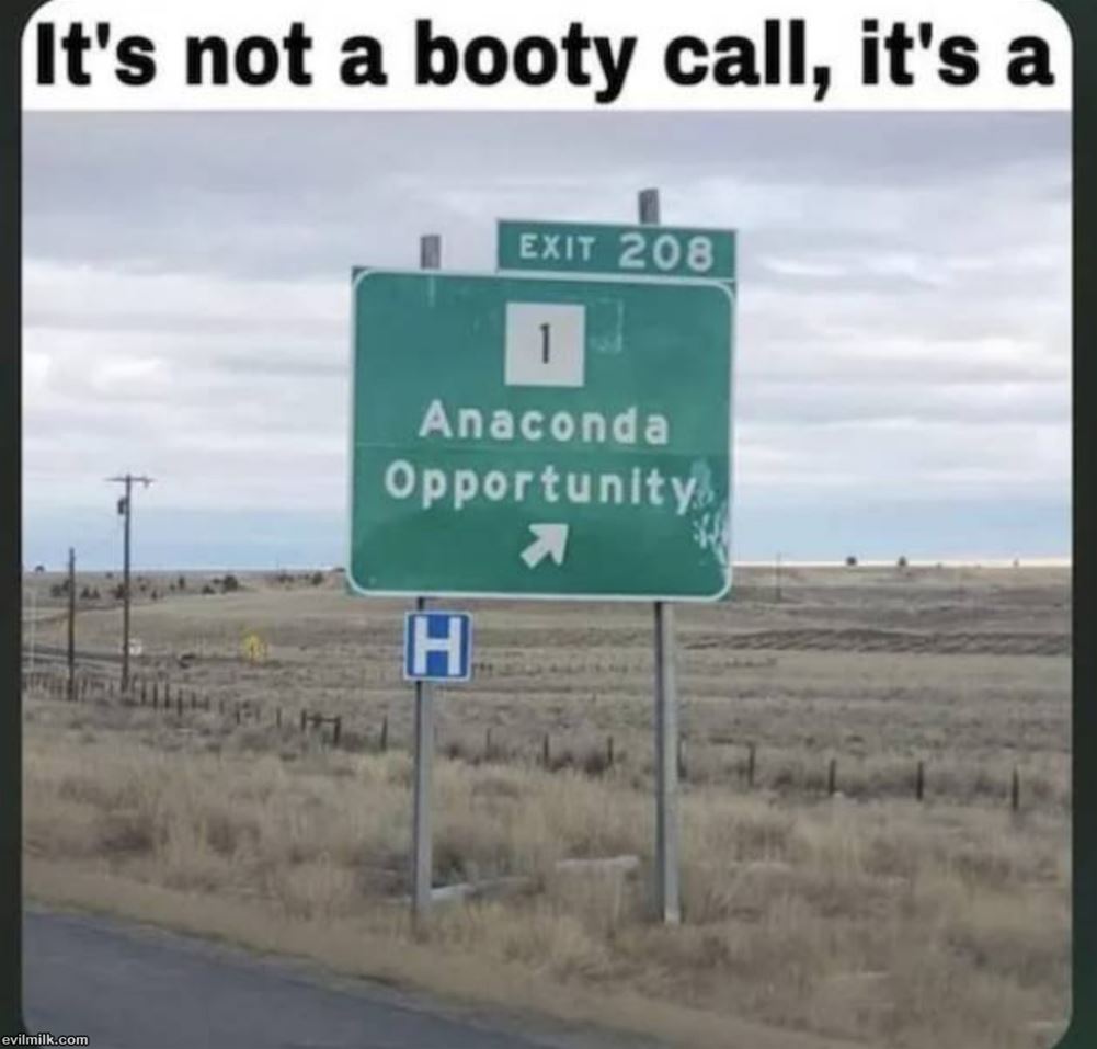 Not A Booty Call