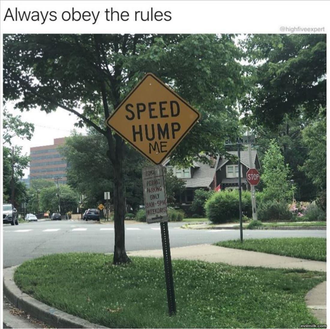 Obey