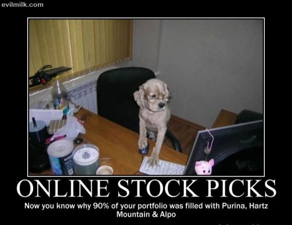 Online Stock Picks