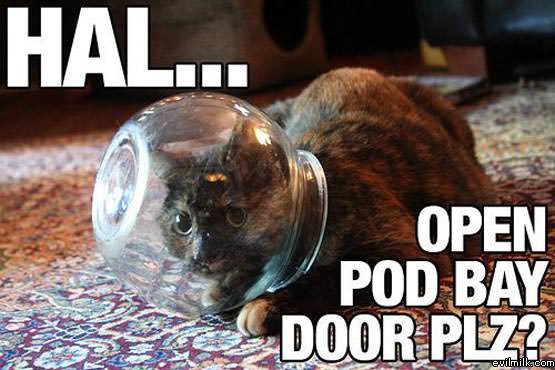 Open Pod Door Please