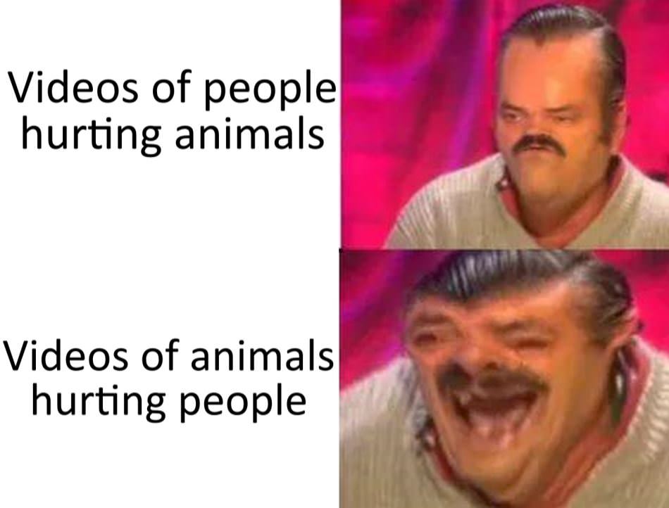 People Hurting Animals