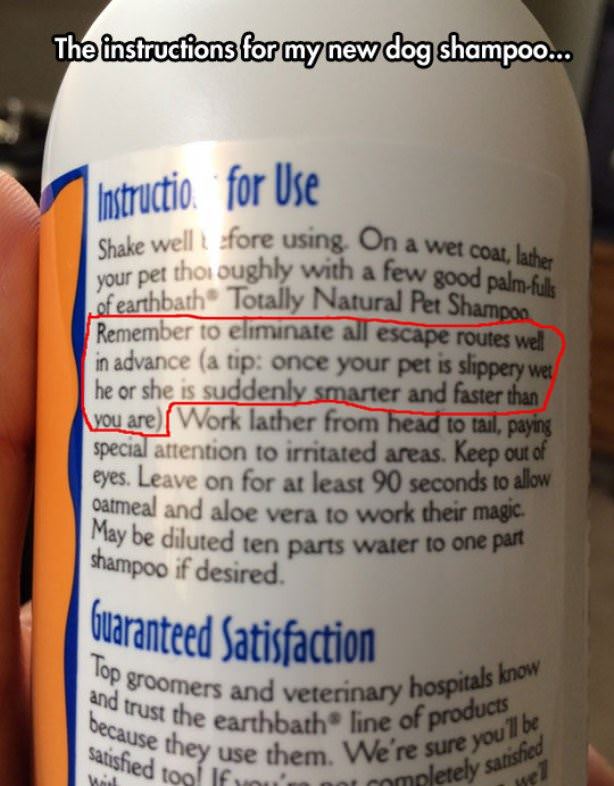 Pet Shampoo Instructions