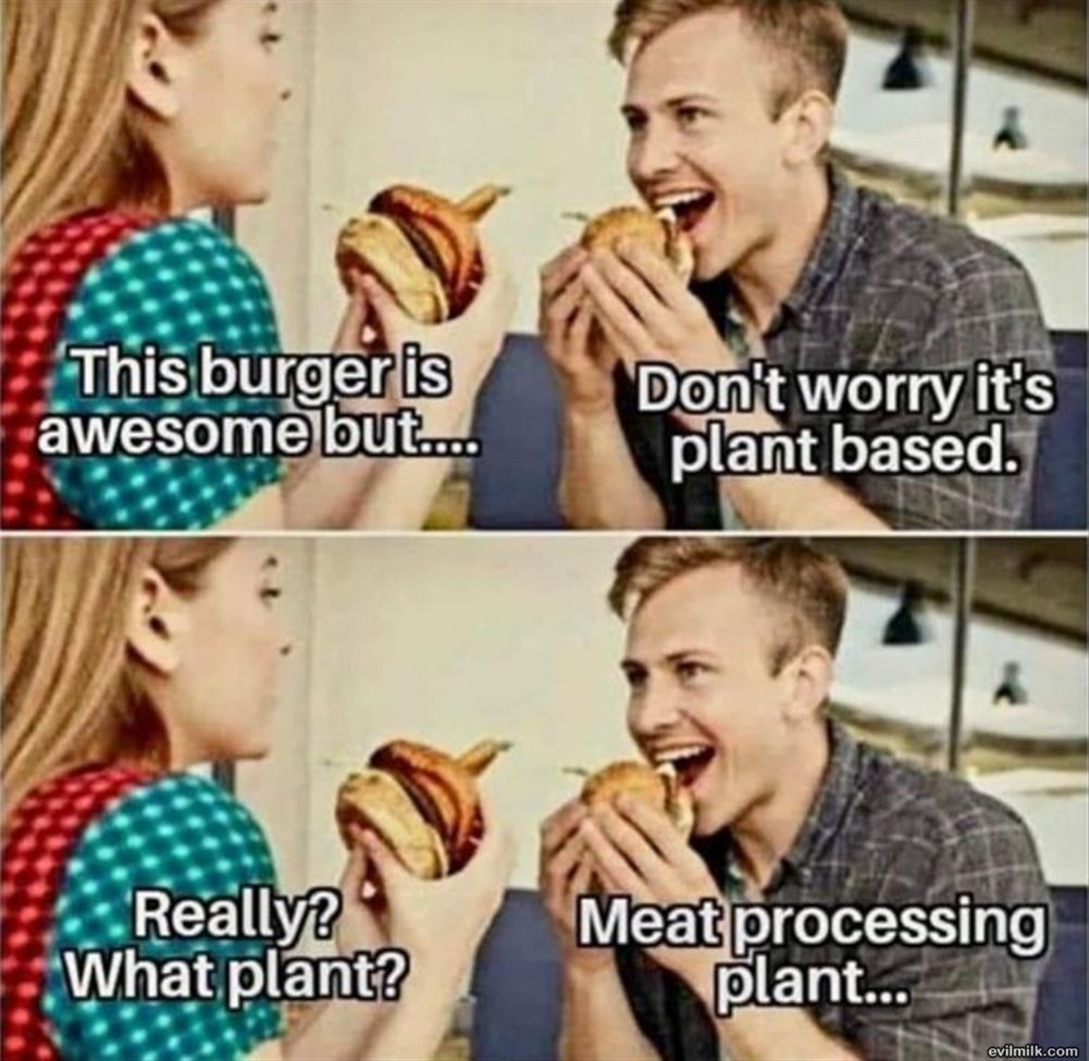 Plant Based